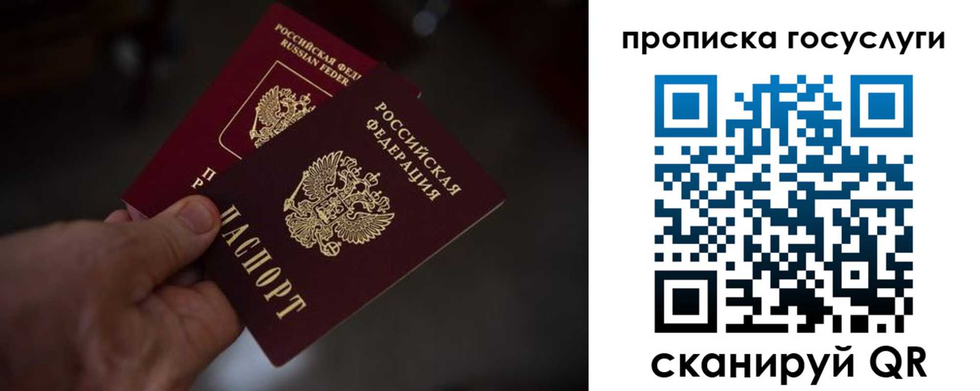 прописка ребенка в Павловске