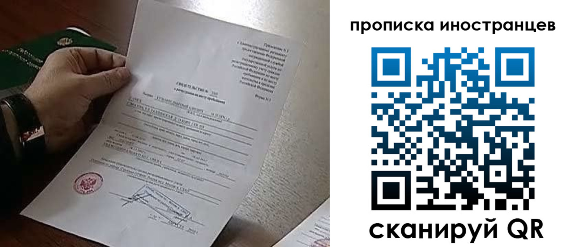 прописка поиск в Павловске